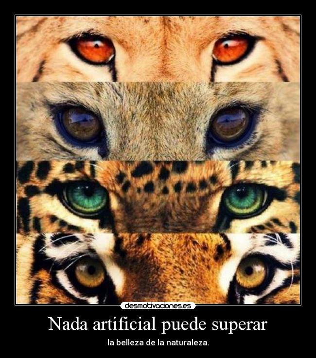 Nada artificial puede superar - la belleza de la naturaleza.