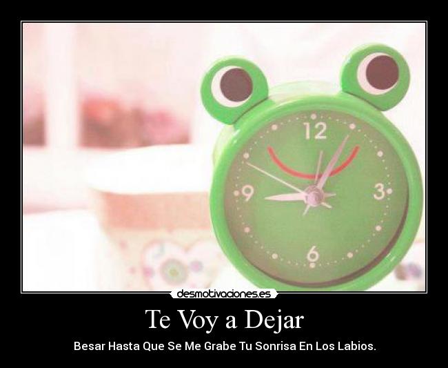 Te Voy a Dejar - 