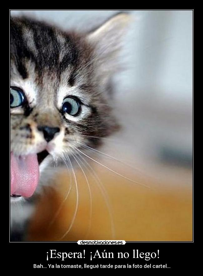 ¡Espera! ¡Aún no llego! -