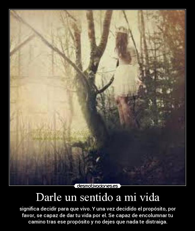 carteles vida sin etiquetas desmotivaciones