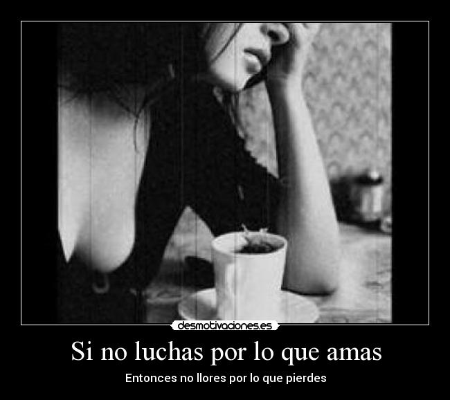 Si no luchas por lo que amas - Entonces no llores por lo que pierdes