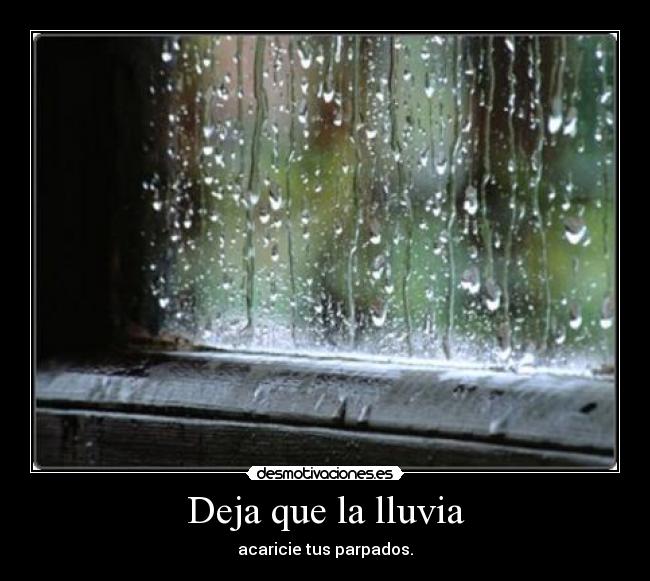 Deja que la lluvia - acaricie tus parpados.