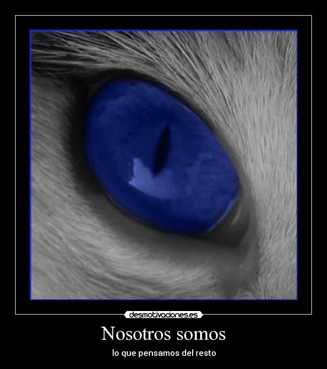 Nosotros somos - lo que pensamos del resto