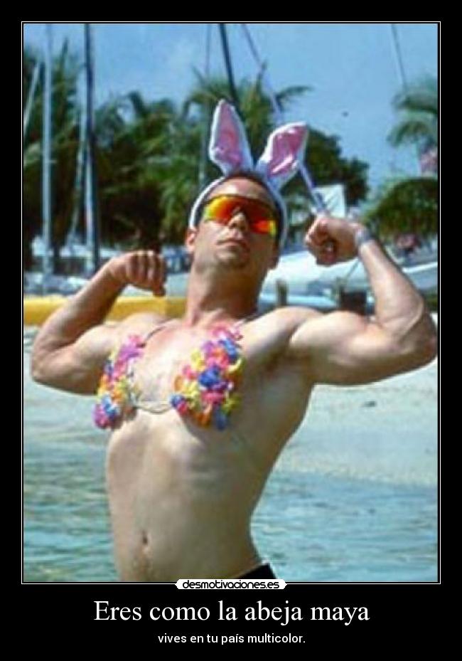 carteles josefernandez desmotivaciones