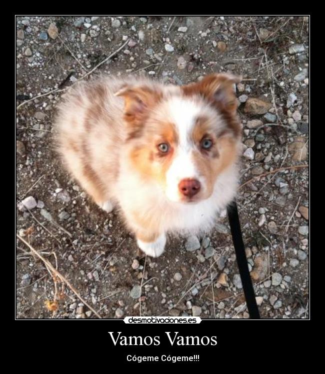 carteles cogeme desmotivaciones