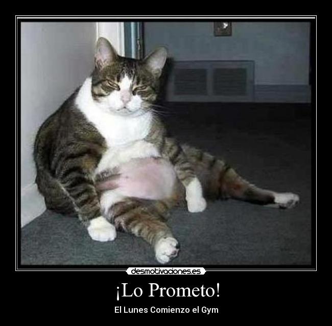 ¡Lo Prometo! -