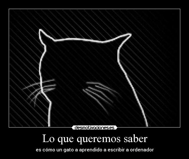 Lo que queremos saber - 