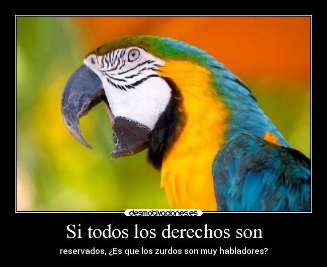 Si todos los derechos son - reservados, ¿Es que los zurdos son muy habladores?