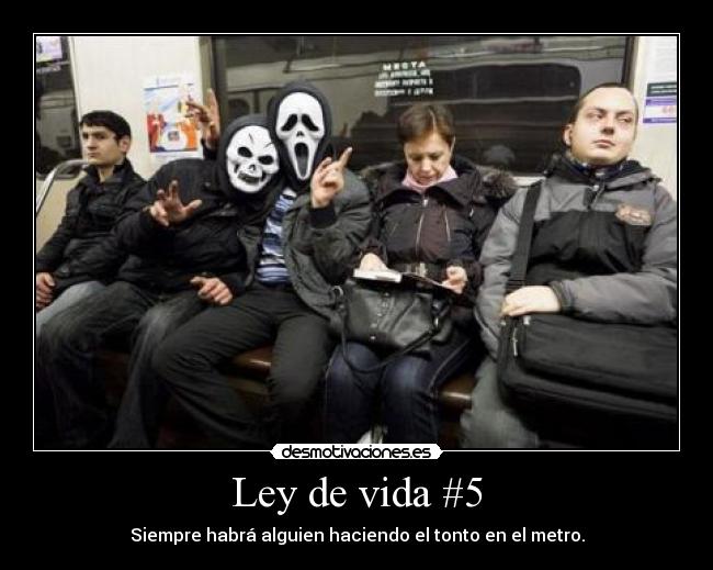 Ley de vida #5 - 