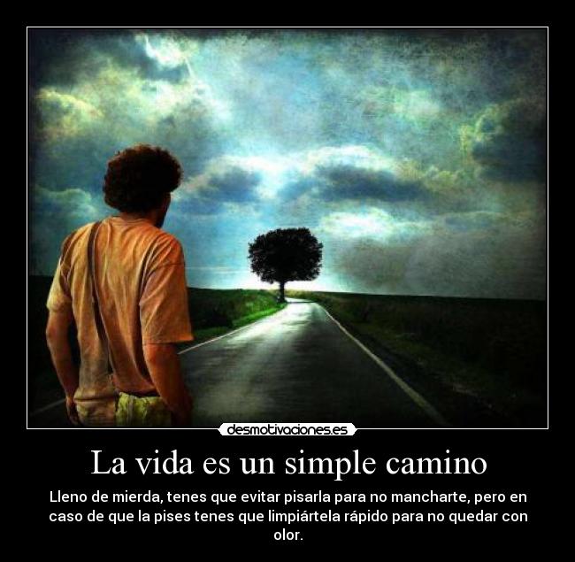 carteles vida people like shit habria mejor descripcion desmotivaciones