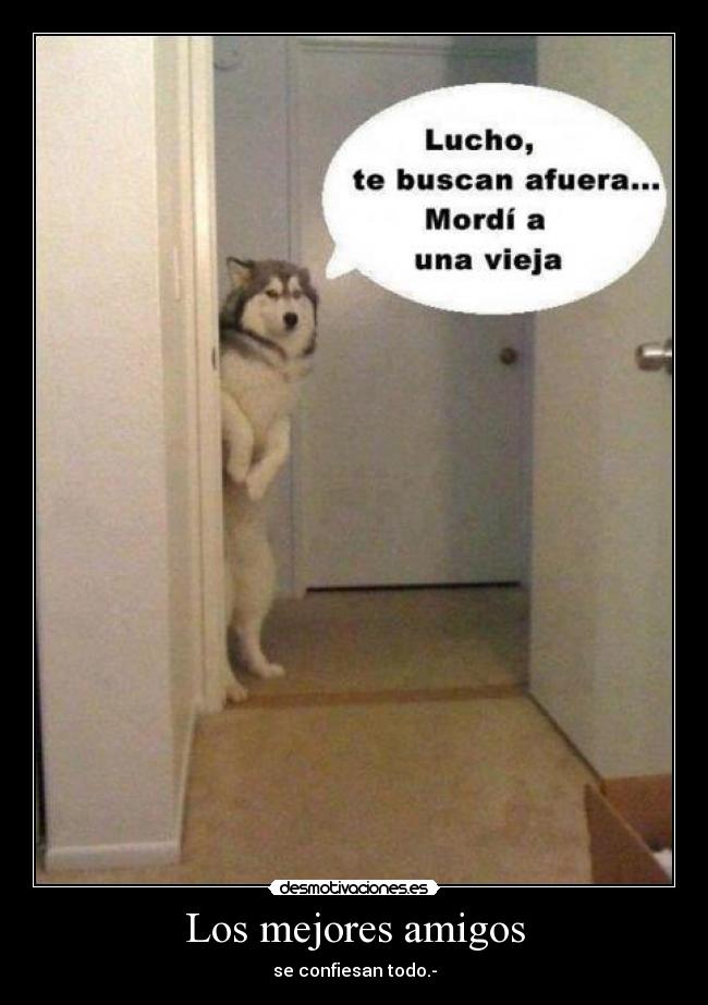 Los mejores amigos - 