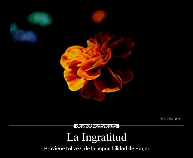 La Ingratitud - Proviene tal vez, de la Imposibilidad de Pagar