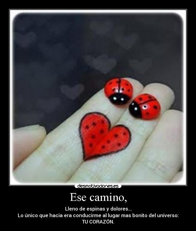 Ese camino, - Lleno de espinas y dolores...
Lo único que hacia era conducirme al lugar mas bonito del universo:
TU CORAZÓN.