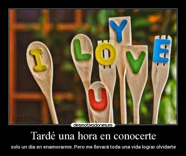 Tardé una hora en conocerte - solo un día en enamorarme. Pero me llevará toda una vida lograr olvidarte