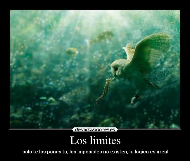 carteles los limites son limitados juas juas desmotivaciones