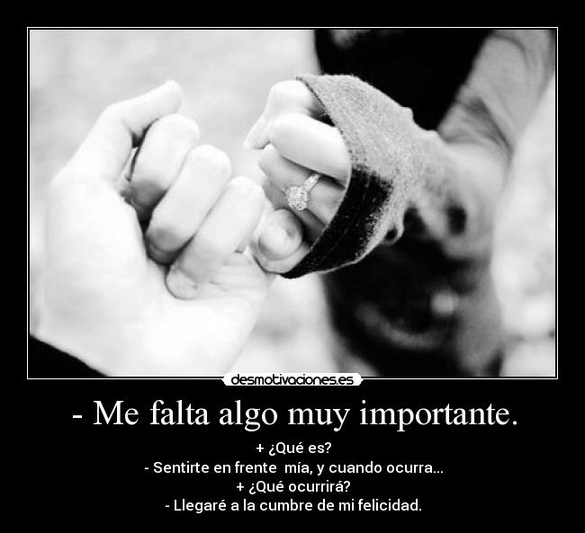 - Me falta algo muy importante. - + ¿Qué es?
- Sentirte en frente  mía, y cuando ocurra...
+ ¿Qué ocurrirá?
- Llegaré a la cumbre de mi felicidad.