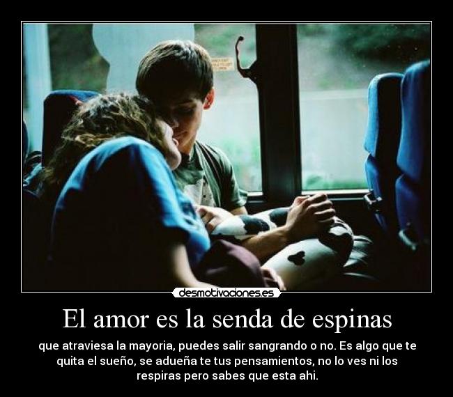 El amor es la senda de espinas - que atraviesa la mayoria, puedes salir sangrando o no. Es algo que te
quita el sueño, se adueña te tus pensamientos, no lo ves ni los
respiras pero sabes que esta ahi.