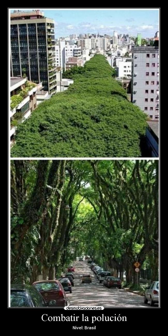 Combatir la polución -
