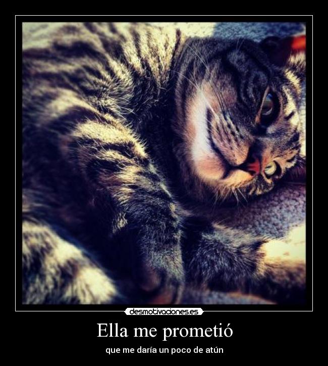Ella me prometió - que me daría un poco de atún