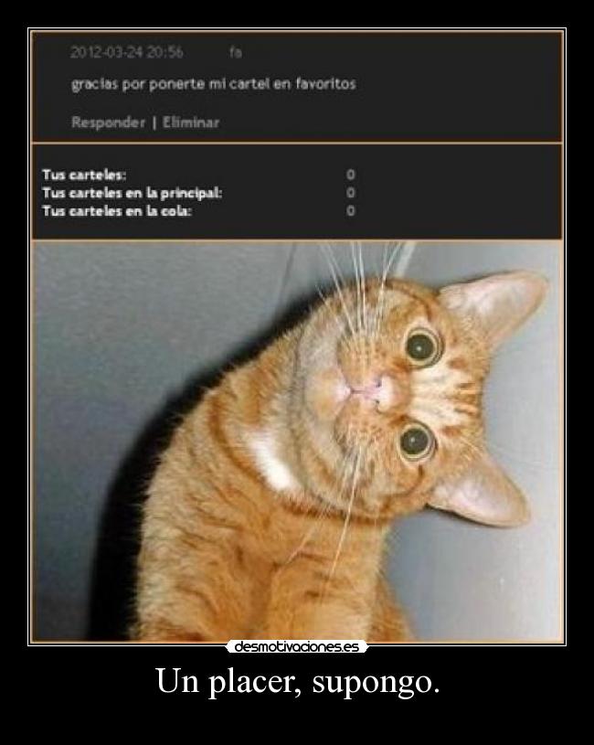 Un placer, supongo. - 