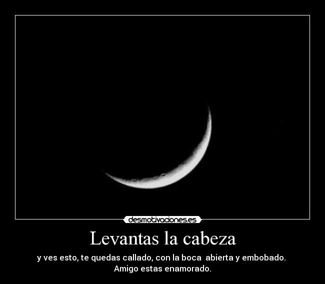 Levantas la cabeza - y ves esto, te quedas callado, con la boca  abierta y embobado. 
Amigo estas enamorado.