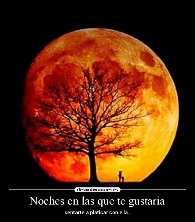 Noches en las que te gustaria - sentarte a platicar con ella...