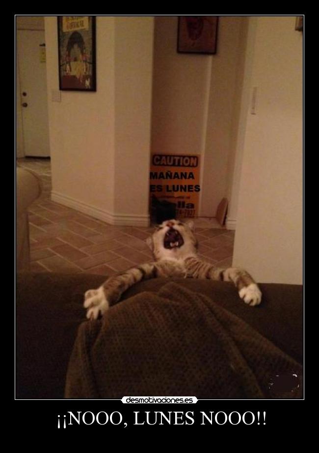 ¡¡NOOO, LUNES NOOO!! -
