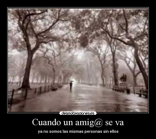 Cuando un amig@ se va -