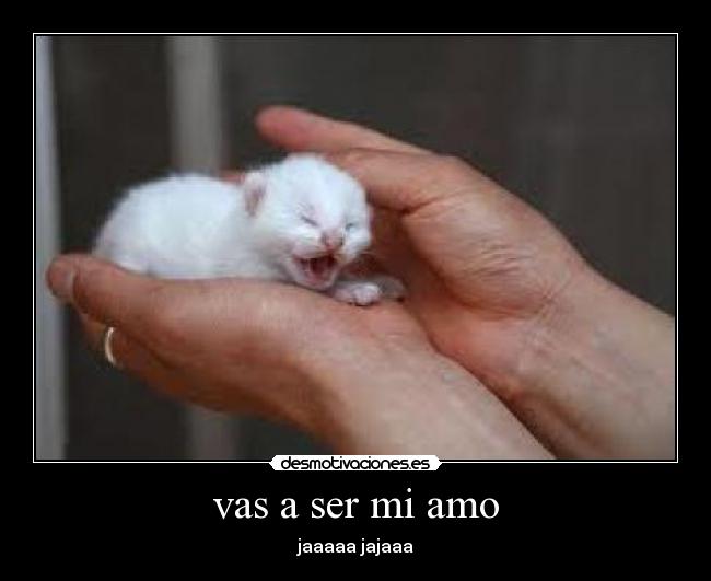 vas a ser mi amo - jaaaaa jajaaa