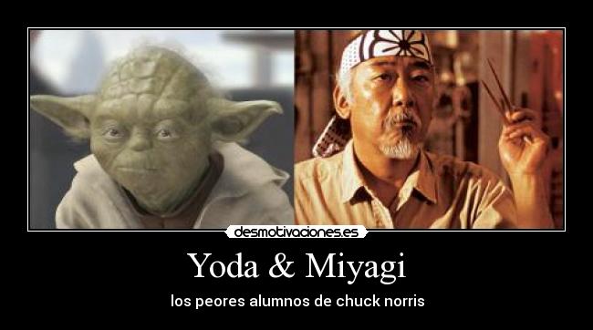 Yoda & Miyagi - 