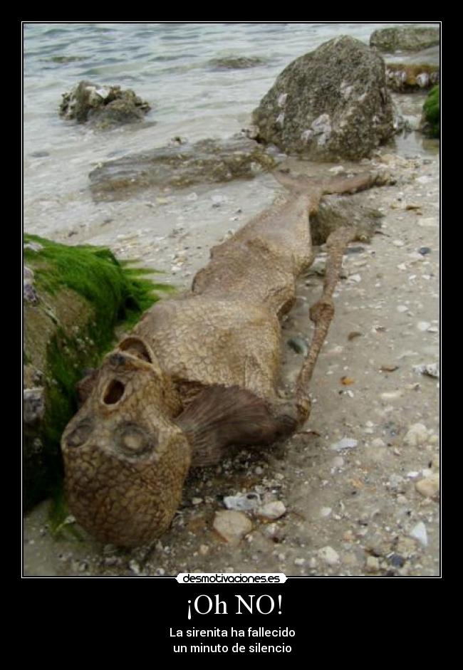 ¡Oh NO! - La sirenita ha fallecido
un minuto de silencio