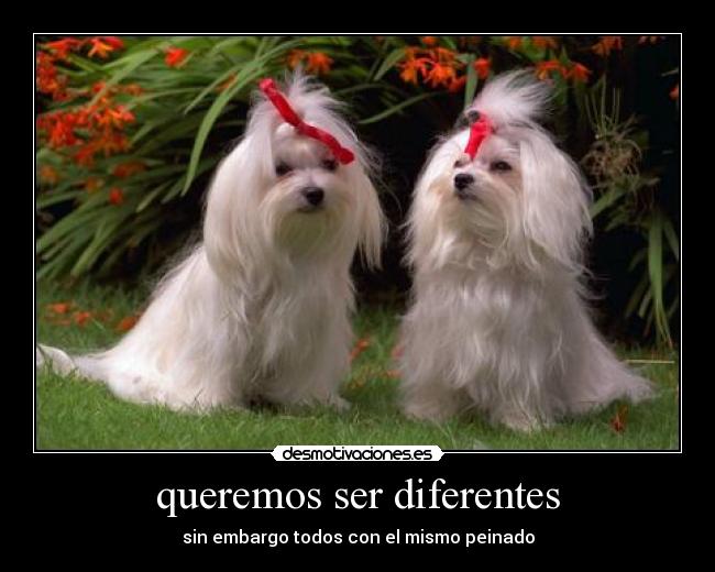queremos ser diferentes - 