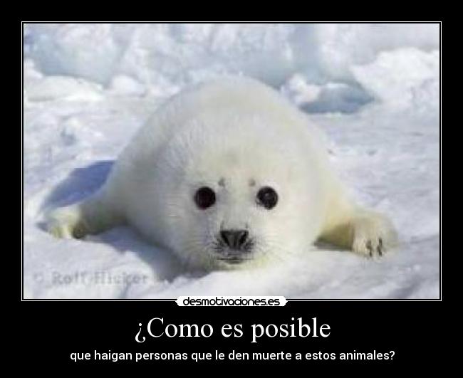 ¿Como es posible -