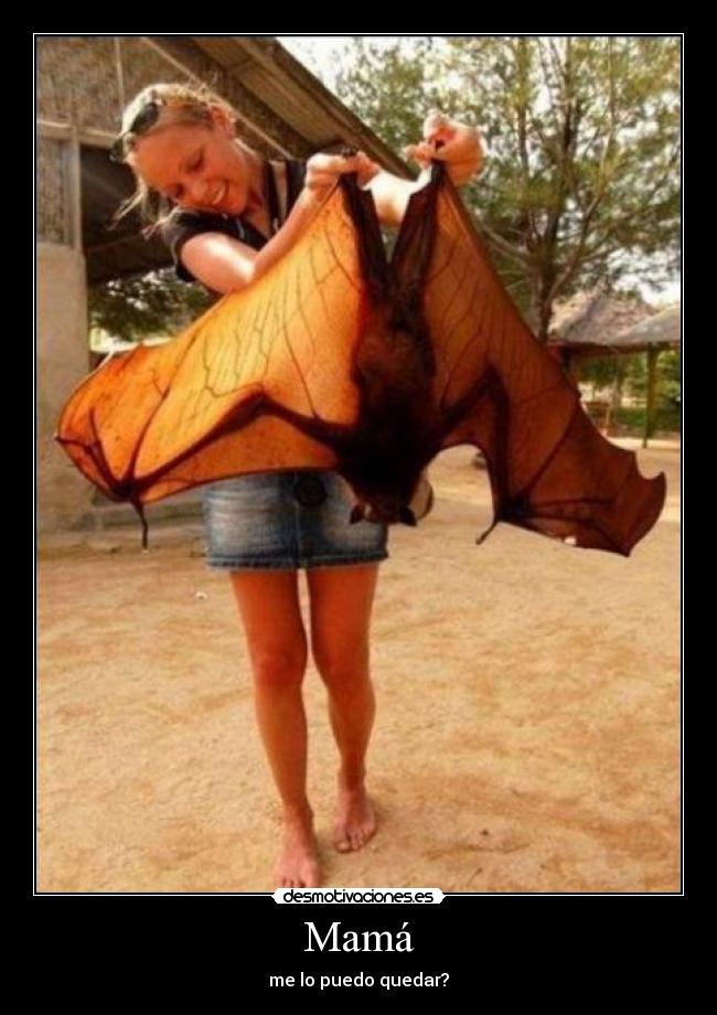 Mamá - me lo puedo quedar?
