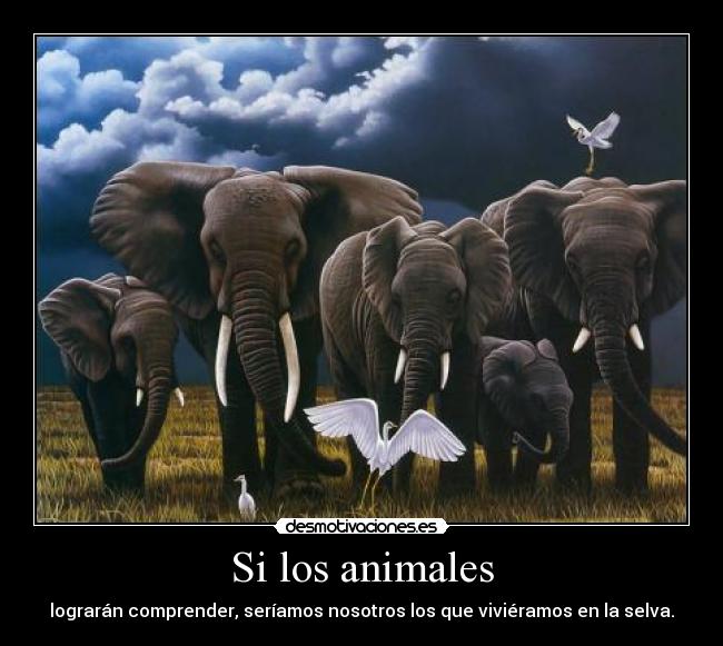 Si los animales -