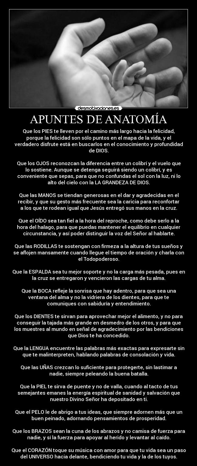 carteles anatomia desmotivaciones