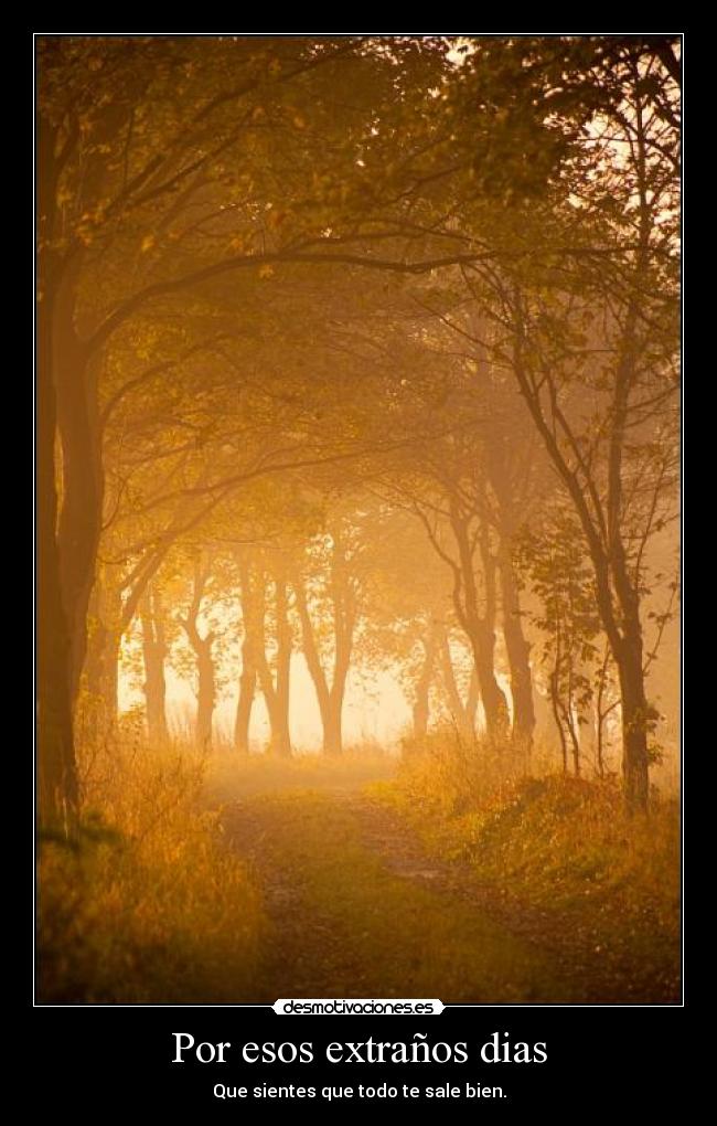 Por esos extraños dias - Que sientes que todo te sale bien.