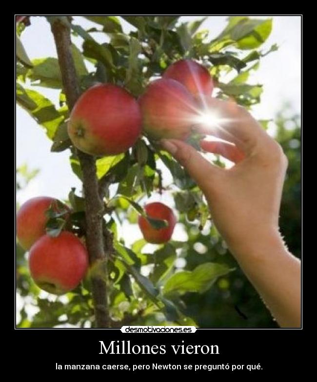 Millones vieron - la manzana caerse, pero Newton se preguntó por qué.
