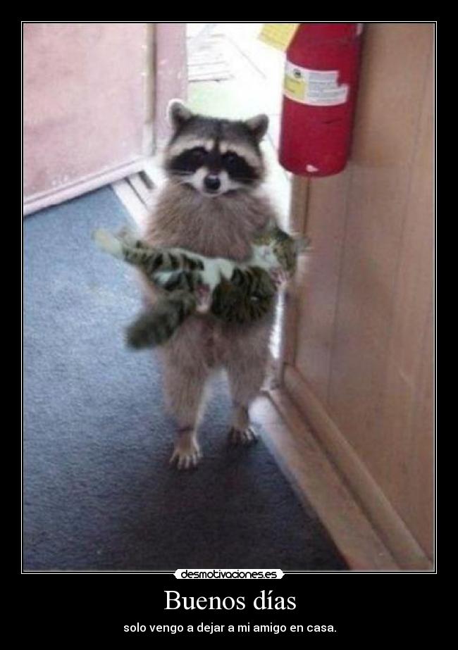 Buenos días - solo vengo a dejar a mi amigo en casa.