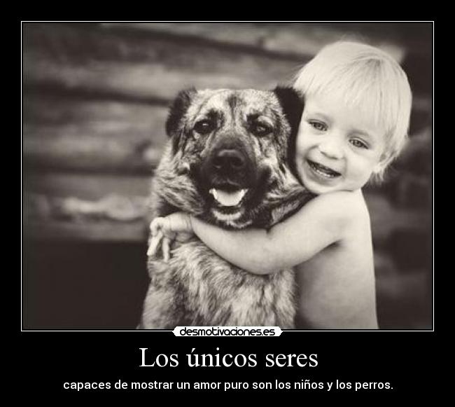 Los únicos seres - capaces de mostrar un amor puro son los niños y los perros.
