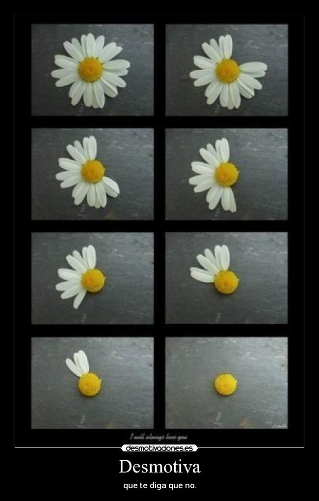 Desmotiva - que te diga que no.