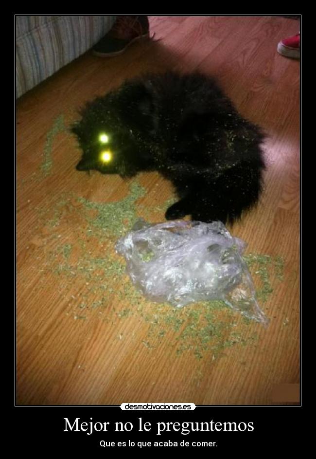 Mejor no le preguntemos -