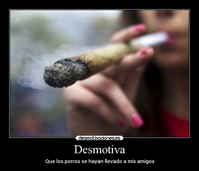 Desmotiva - Que los porros se hayan llevado a mis amigos