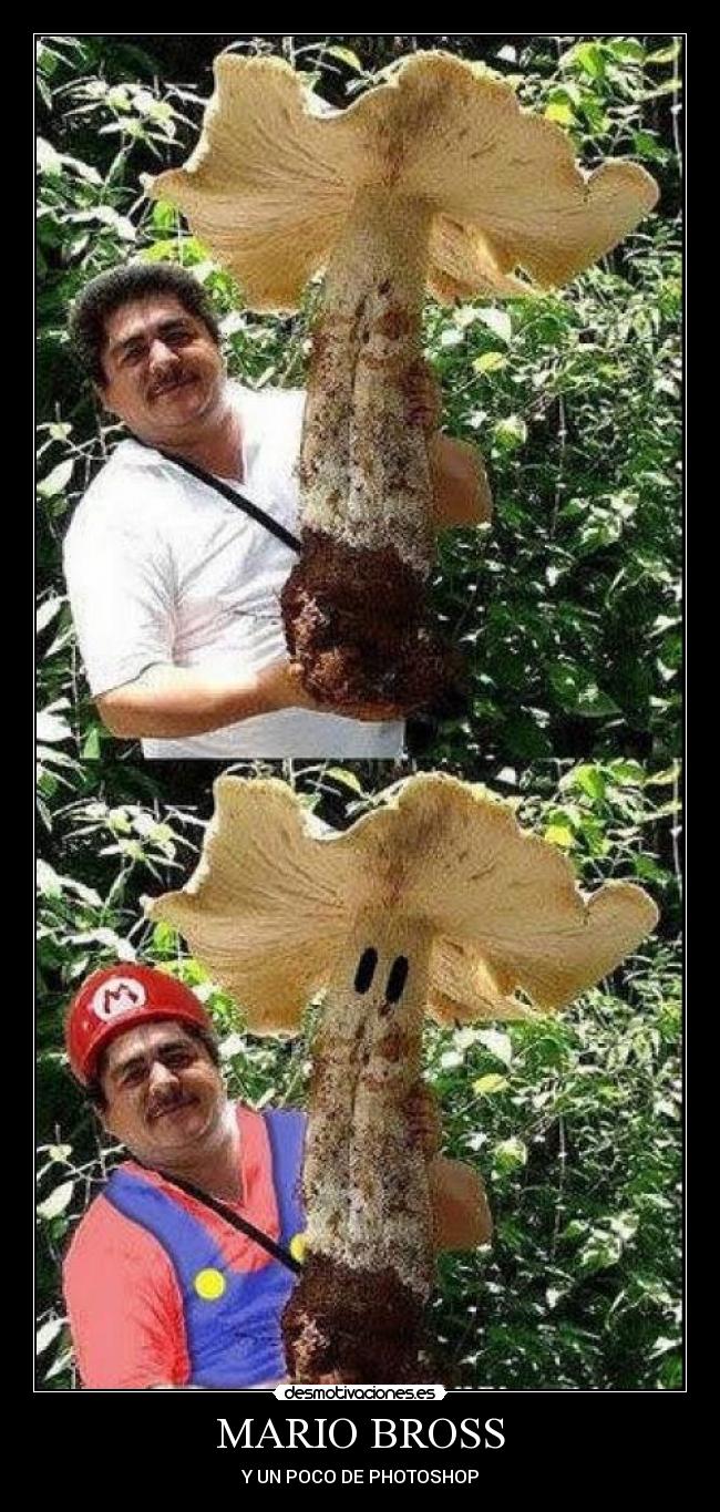 MARIO BROSS - Y UN POCO DE PHOTOSHOP