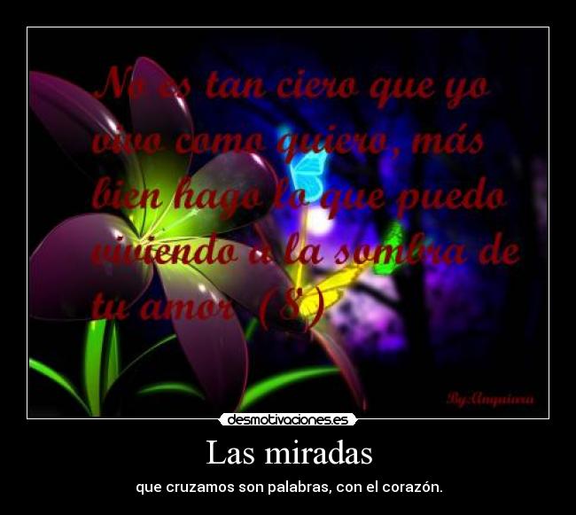 Las miradas - que cruzamos son palabras, con el corazón.