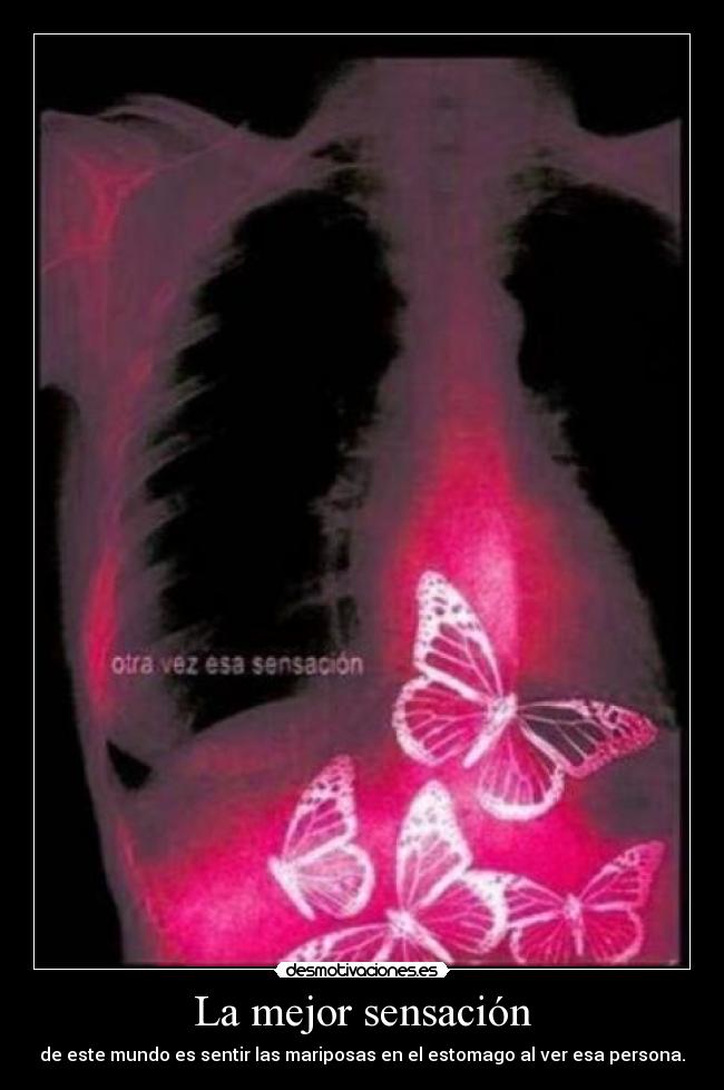La mejor sensación - de este mundo es sentir las mariposas en el estomago al ver esa persona.