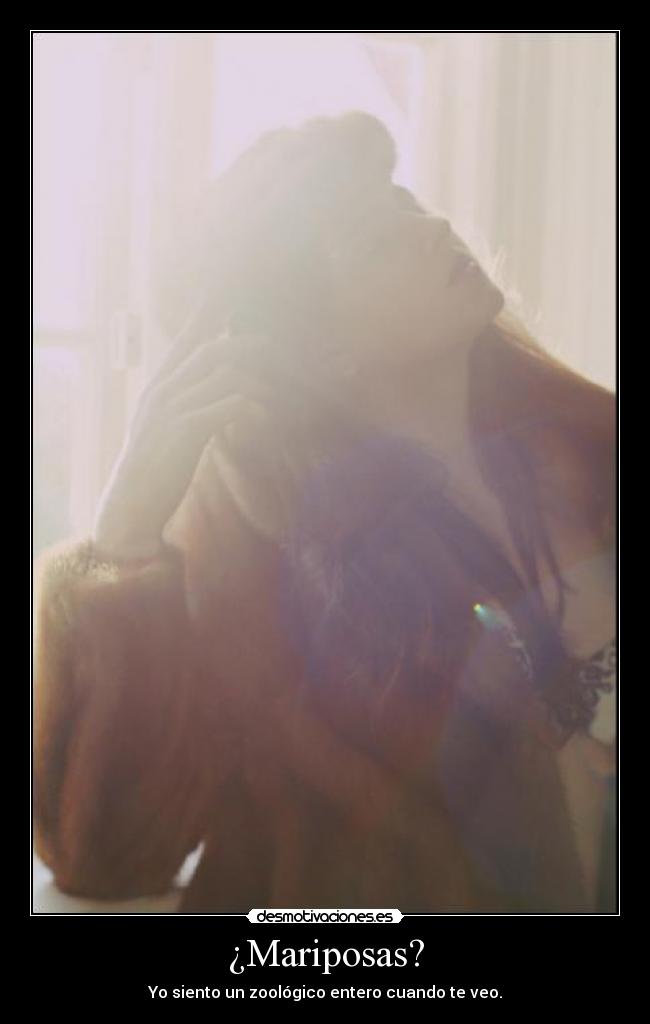 ¿Mariposas? - Yo siento un zoológico entero cuando te veo.