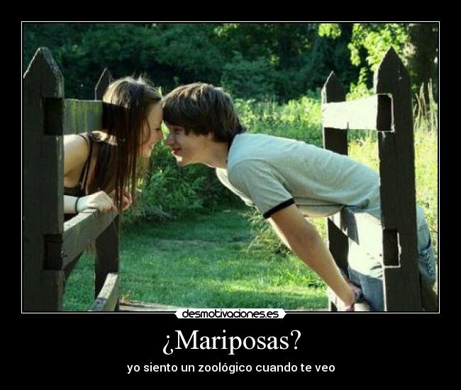 ¿Mariposas? - 