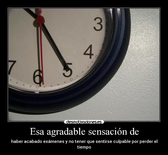 Esa agradable sensación de - haber acabado exámenes y no tener que sentirse culpable por perder el tiempo