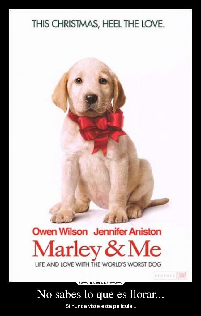 No sabes lo que es llorar... -